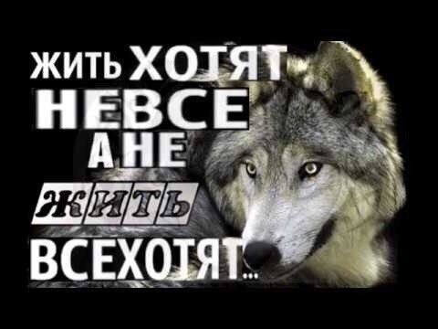 Ex_Mistake's tweet photo. Учителя:
- Постарайтесь избежать повторения фраз в своём сочинении. Перефразируйте, заменяйте. Используйте весь свой словарный запас. 

Я: Ок. 

Мое сочинение: 

#итоговоесочинение2019 https://t.co/cFuf4Vd3Jd