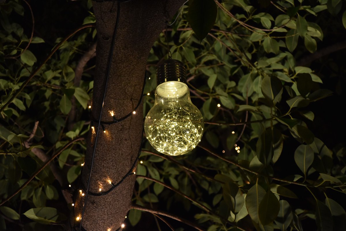 rikibz27's tweet image. Ibiza en navidad!!
.
.
.
.
.
.
.
.
.
#Naviluz #ibizalight #Citelum #Navidad