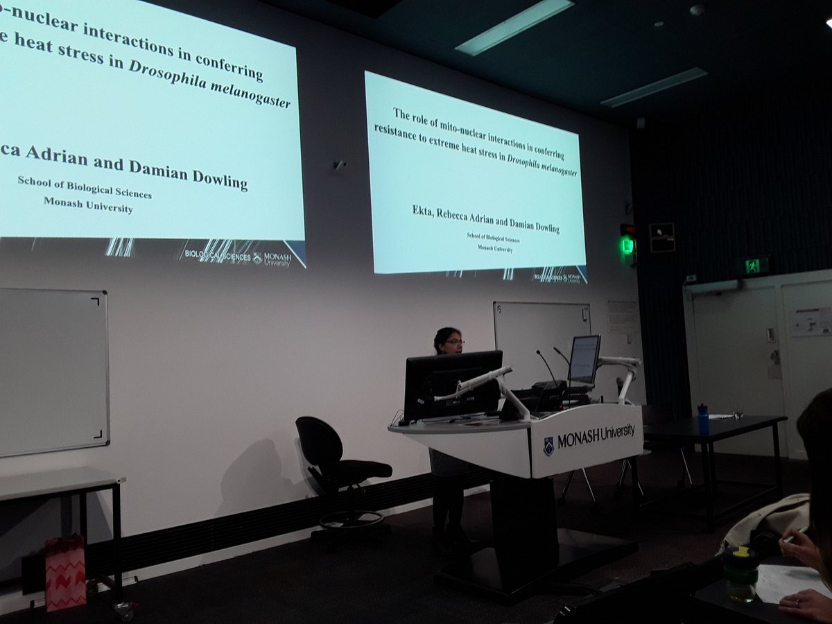 vanessa_higham's tweet photo. Fantastic presentation by @Ekta05264282 at #GEMMZ2019 today! Very exciting results demonstrating differences in thermal tolerance associated with mitochondrial haplotype depend on population of origin #Dowlinglab @MonashBiol https://t.co/UGPAmTQq1M
