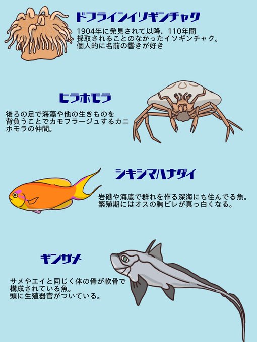 シーラカンス屋さん Coelacanthshopの漫画作品一覧 シーラカンス屋さん Coelacanthshopの漫画作品一覧