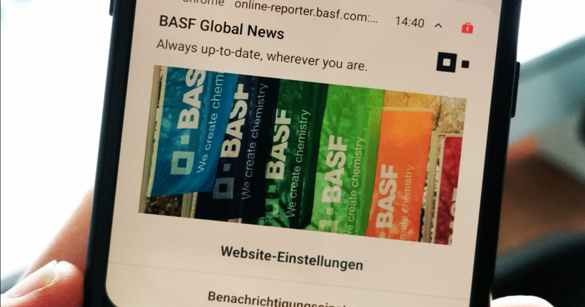 Basf online reporter