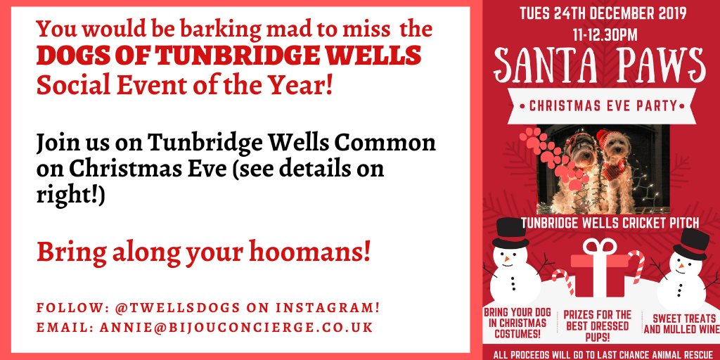 Come along to our Wuuf-tastic Santa Paws Party on Tunbridge Wells Common on Xmas Eve! #TunbridgeWells #SantaPaws #DogsofTwittter #ChristmasEve #dogs #RT