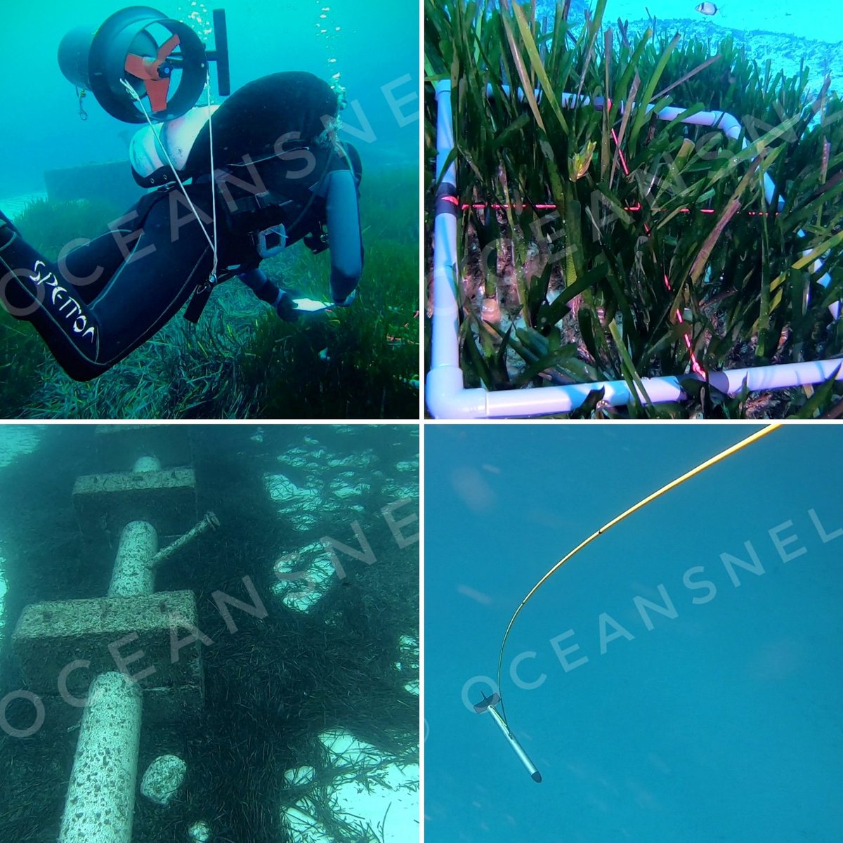 Acabamos un mes de Noviembre intenso de campañas de prospección, caracterización y control del medio marino. #marinebiology #marinepollution #sidescansonar #mediterranean #posidonia #seagrassmonitoring