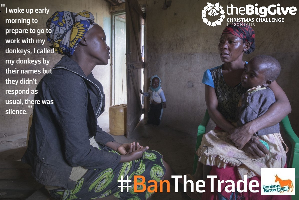 This week your donations to <a href="/TheBrooke/">Brooke 🐴🧡</a> will be doubled in the <a href="/BigGive/">Big Give</a> #ChristmasChallenge19! They want to #BanTheTrade of donkey skins in Kenya, where up to 1000 donkeys are being slaughtered every day. Please donate today at thebrooke.org/biggive  #BrookeBigGive