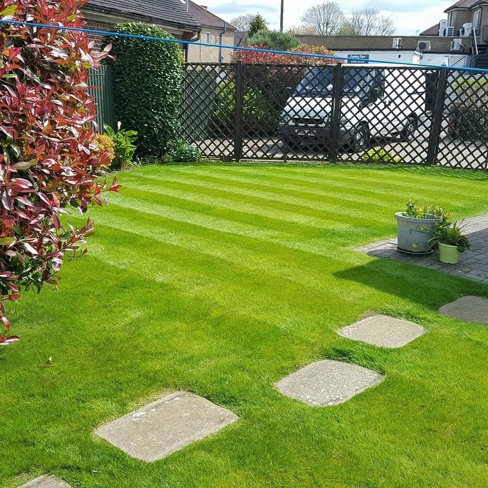 #Stripes look great in a lawn #stripedlawn #hoddesdongardener #waregardener #broxbournegardener #cheshuntgardener #easthertsgardeners #rollermower #enrichedgardens