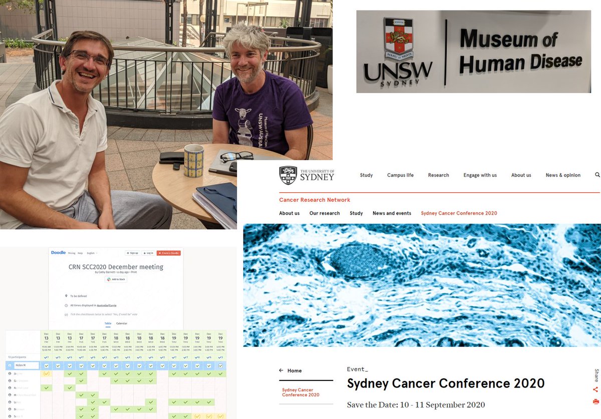 #IAmAnImmunologist is PLANNING! Gearing up for 2020 @ASImmunology #doimmuno @DayofImmunology with Fabio and @Derekjw @UNSWMedicine @Diseasemuseum and following my passion for #cancer #immunotherapy excited to co-chair sydney.edu.au/cancer-researc… @Sydney_Uni with great committee!