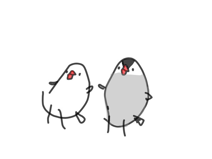 もる文鳥のtwitterイラスト検索結果