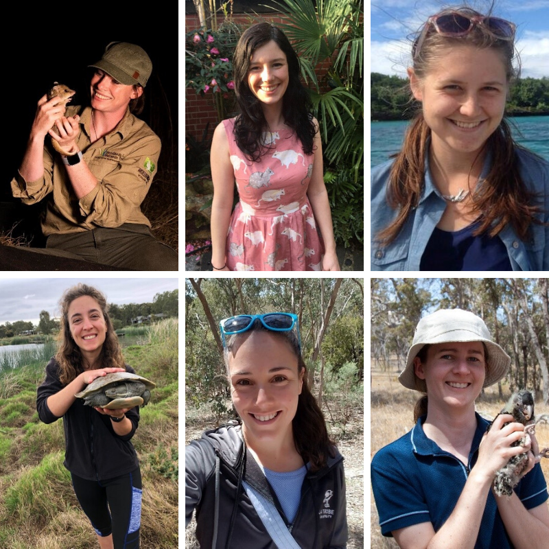 nswdcceew's tweet photo. Huge congratulations to these six early career researchers for winning a 2019 Outstanding Outreach Awards, sponsored by DPIE EES!👏👏
Head to @EcolSocAus website to read more about the #OutreachAward &amp; winners. #OutstandingOutreachAward #earlycareerscience https://t.co/woPFkOvsbD