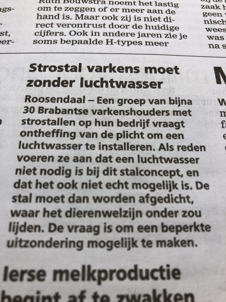 PiggyPower1's tweet photo. #Varkenshouders in Brabant met een #strostal: houd vol! De overheid werkt zo #dierenwelzijn tegen. Dat kan toch niet waar zijn? Laten jullie dat zomaar gaan? @Dierbescherming @WakkerDier https://t.co/yGO416pJQd