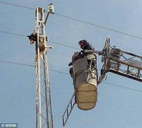 โว้ยยยยยย ขึ้นไปยังไงงงง