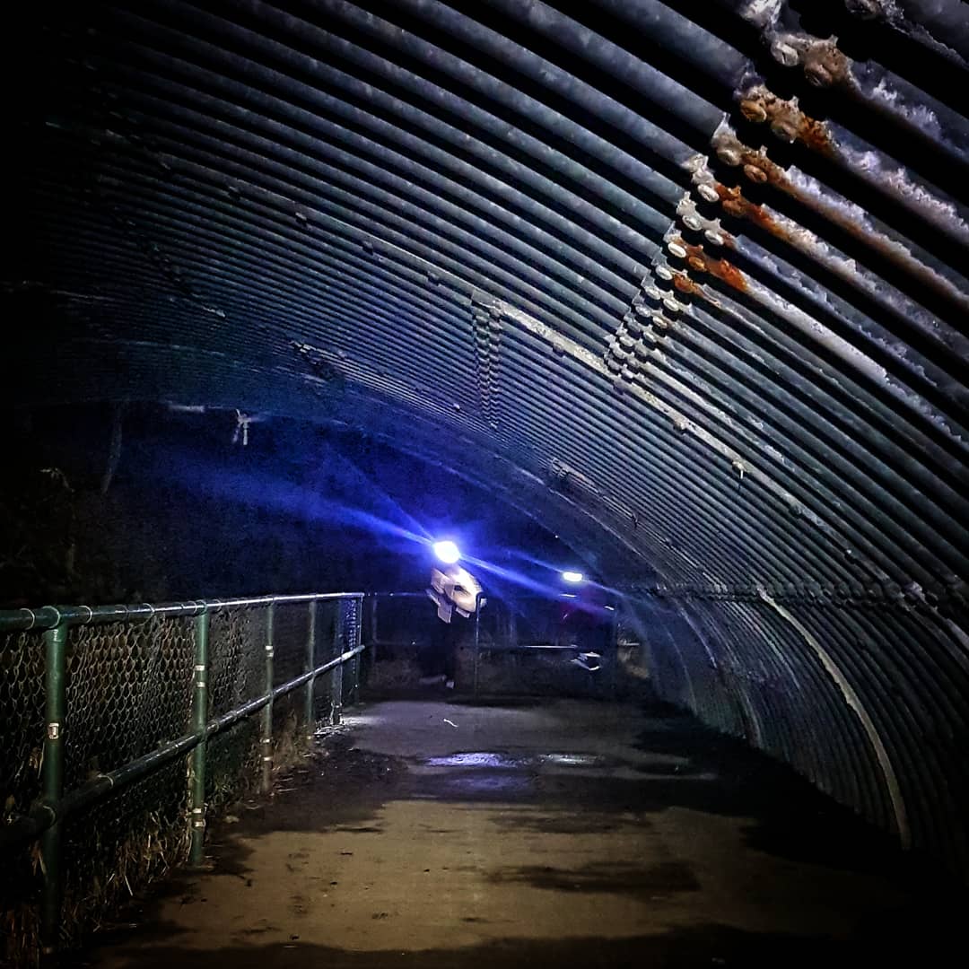 Tae_the_north's tweet photo. A few from last night's @TrailFestScot run in Calderglen #rundirty https://t.co/jUFhxVsRch