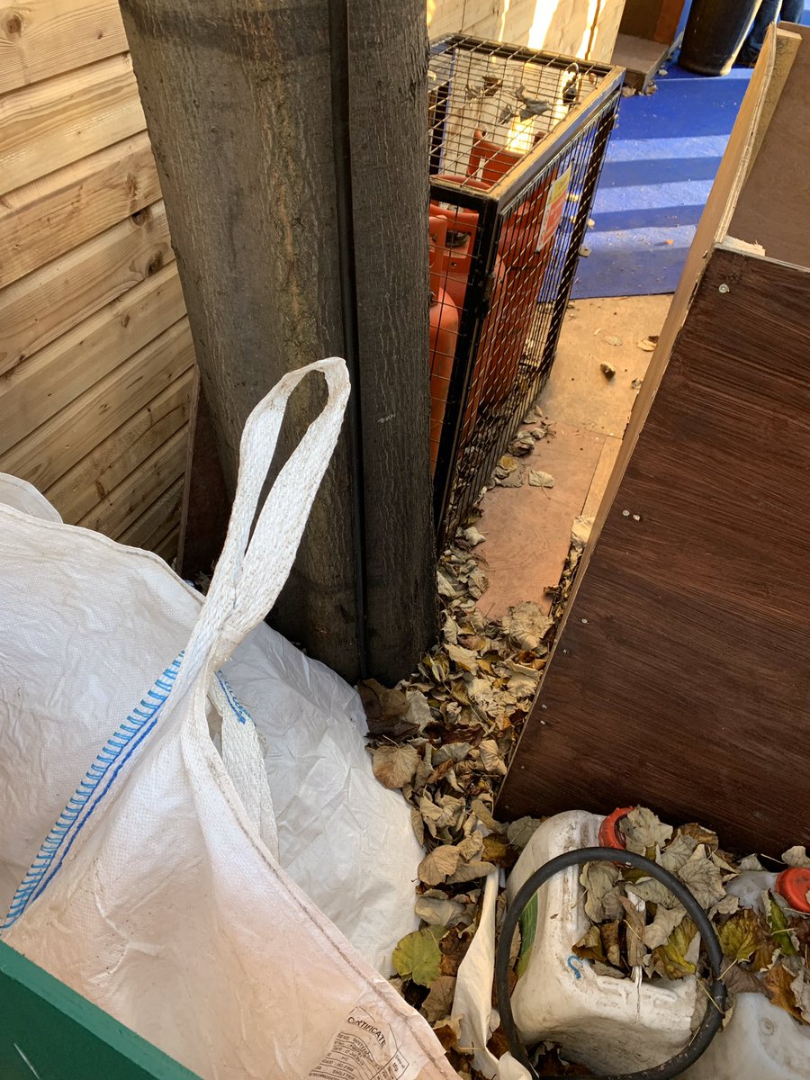 andyheald's tweet image. Frustrating to see that @Edxmas &amp;amp; @Edinburgh_CC are ignoring the Council’s own “Trees in the City Action Plan”  @adamrmcvey #TreeCharter edinburgh.gov.uk/download/downl…