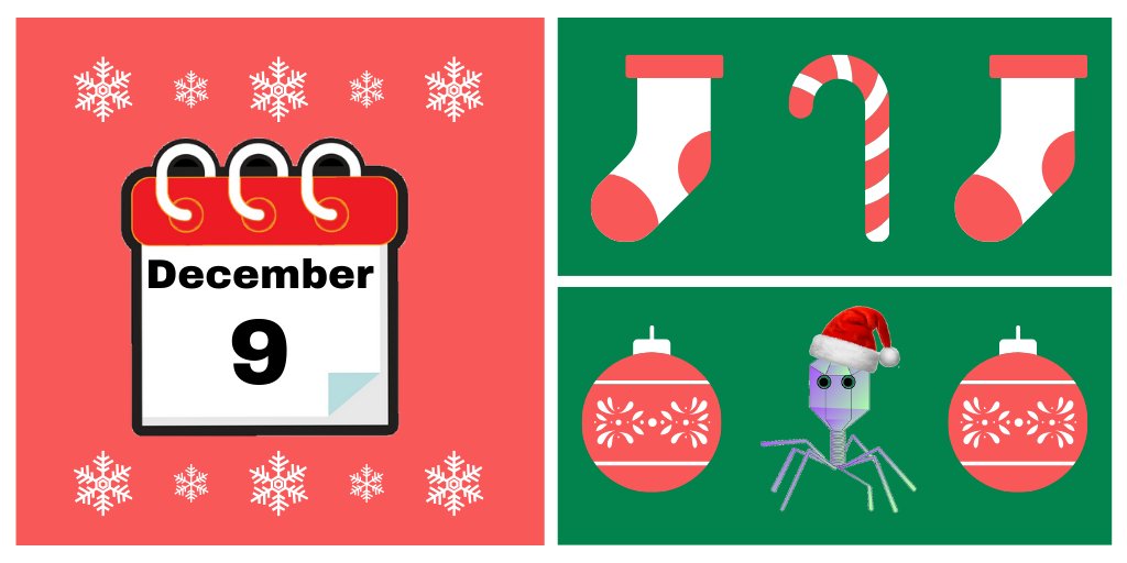 MicroDx_UQ's tweet photo. #MerryBugmas #MicroDxAdvent DAY 9
>290mil women ♀️ have a human papillomavirus (HPV) infection, which increases the risk for cervical cancer. The Gardasil 9 vaccine 💉 (protects against 9 HPV strains) was approved by the FDA in 2015. Groundbreaking work by UQ’s Ian Frazer 👏🎉🎊 https://t.co/4yeNvu60re