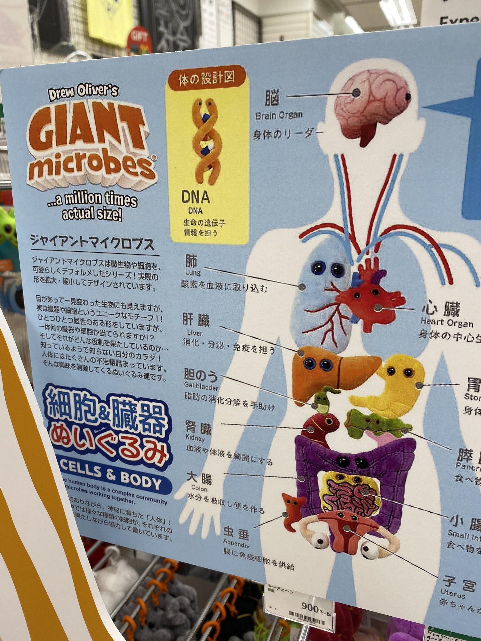 これはコンプせねば 東急ハンズで売っている 臓器ぬいぐるみ が誰得すぎるw えのげ これはコンプせねば 東急ハンズで売っている 臓器ぬいぐるみ が誰得すぎるw えのげ