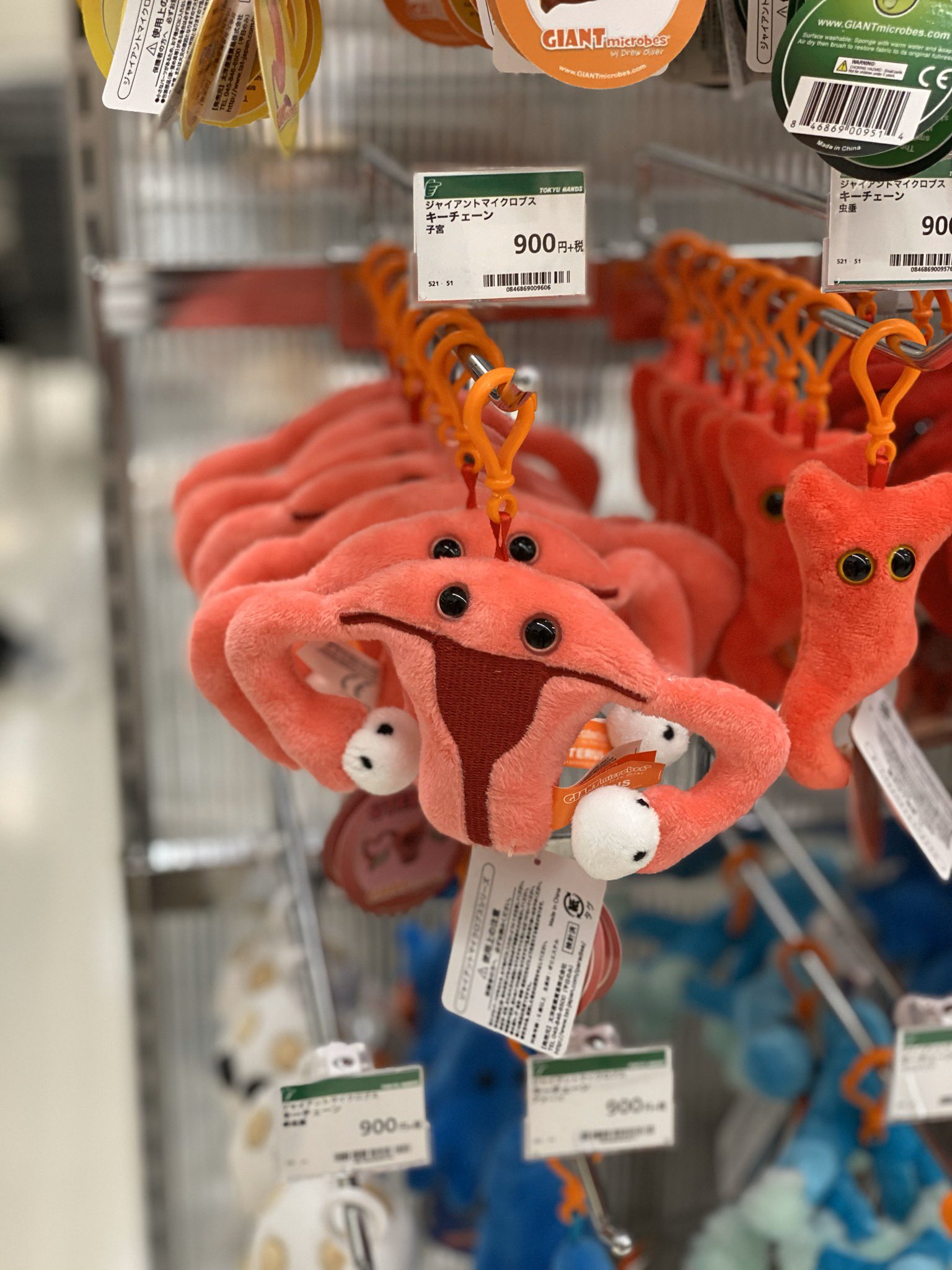 ちょっと可愛い ハンズ臓器ぬいぐるみ売り出す 話題の画像プラス ちょっと可愛い ハンズ臓器ぬいぐるみ売り出す 話題の画像プラス