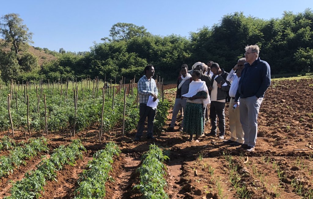 Henny Gerner tweet media