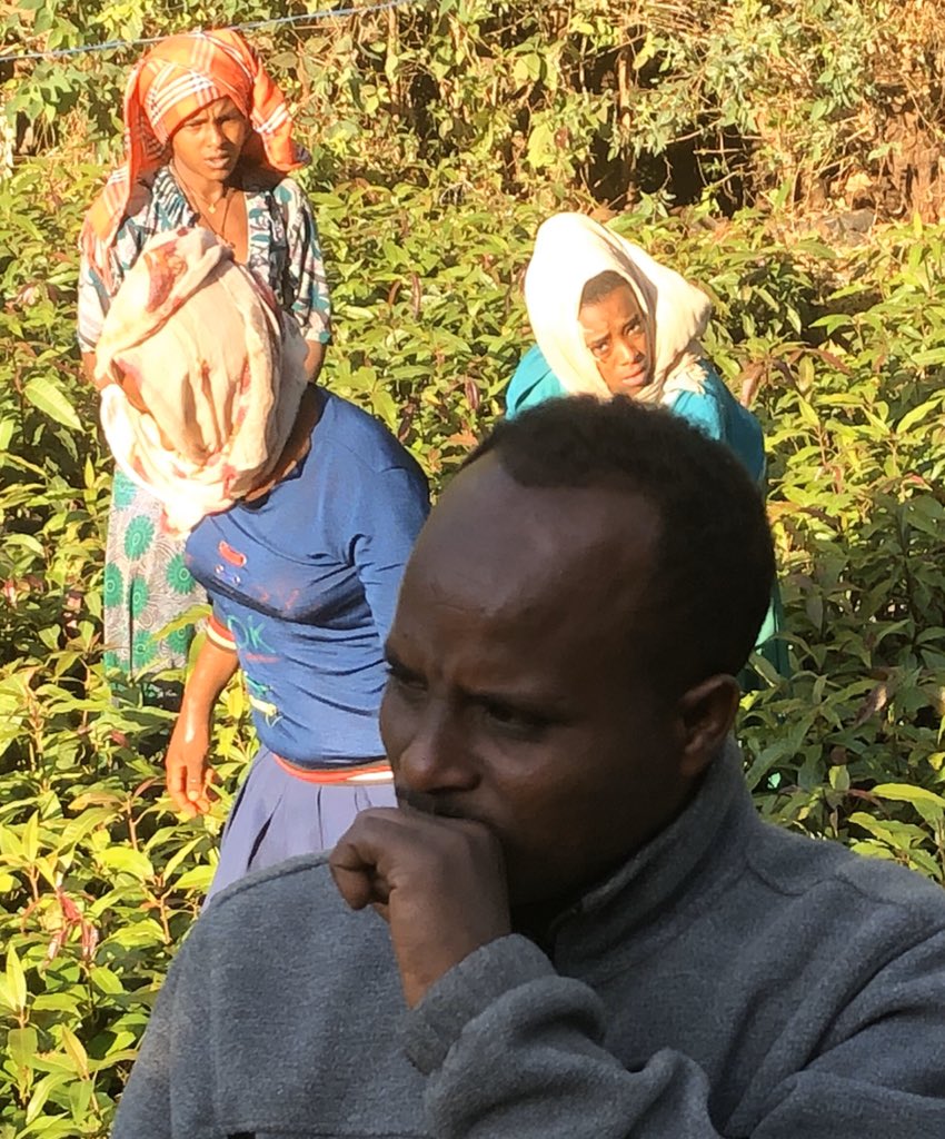 In 4 years time a young Ethiopian ex- civil servant transformed himself into a prosperous fruit seedling business owner, benefiting community and own livelihood. Thanks to <a href="/SNVworld/">SNV - find us on Bluesky as snv.org</a> <a href="/IGG_NL/">NL Global Issues</a>