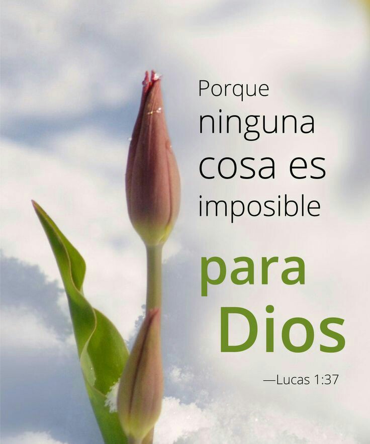 Silvia Cabello (@silviacabelloe1) on Twitter photo 