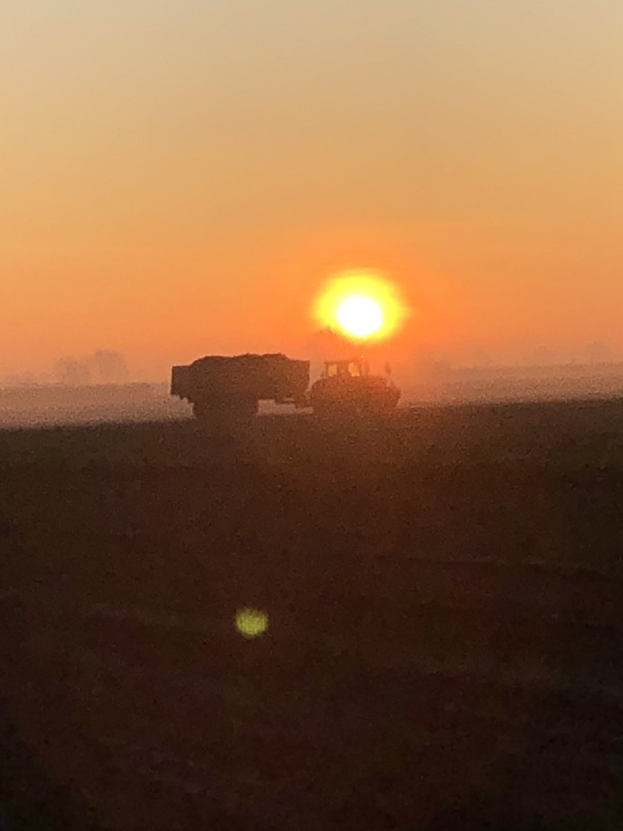 tjerkderegt's tweet photo. Een paar weken te laat voor het mooie, maar toch mooi weer bij de laatste etappe, #oogst2019 bijna ten einde #suikerbieten. Direct #spitmachine er ook maar in. https://t.co/gvUIfRwNbj
