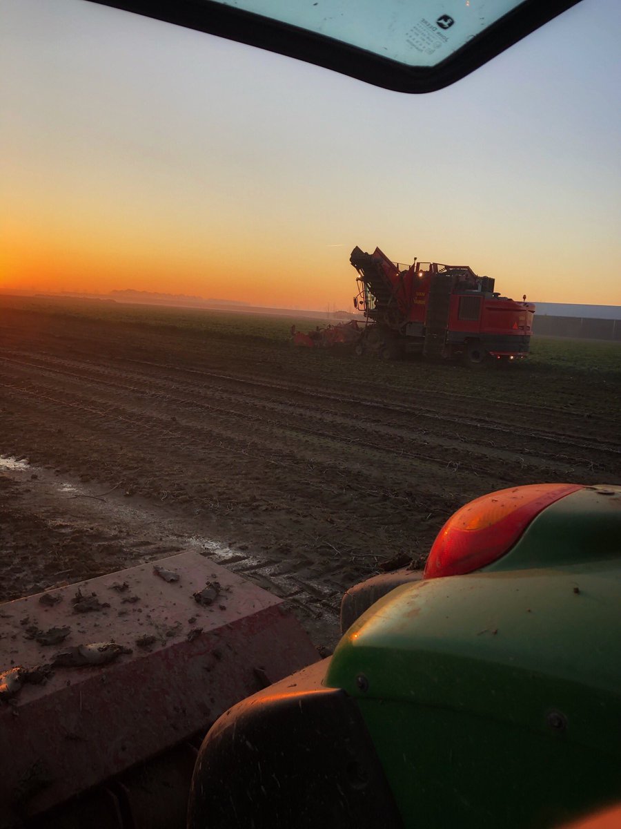 tjerkderegt's tweet photo. Een paar weken te laat voor het mooie, maar toch mooi weer bij de laatste etappe, #oogst2019 bijna ten einde #suikerbieten. Direct #spitmachine er ook maar in. https://t.co/gvUIfRwNbj
