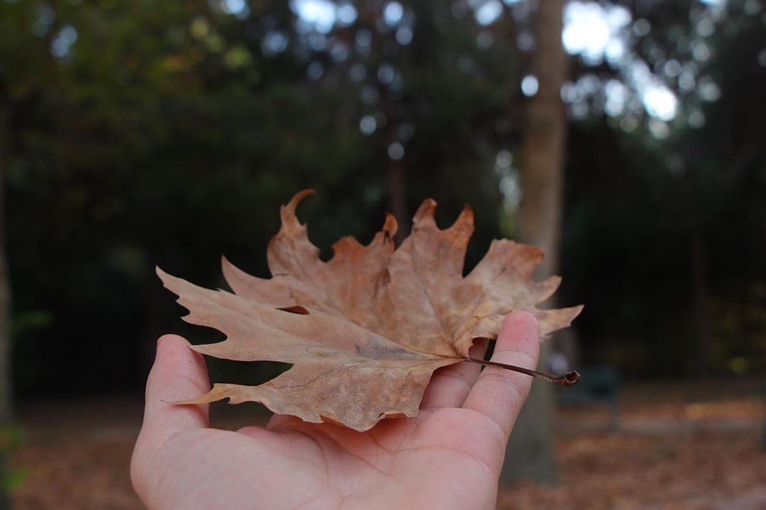 Sonbahar..
.
.
.
#antalya #alanya #kemer