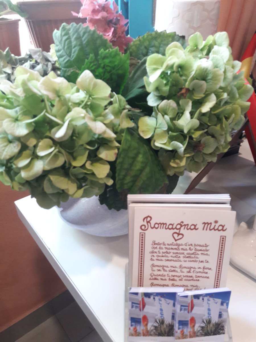 HotelEliseo_'s tweet photo. Good morning from a sunny #BellariaIgeaMarina....

Love from #Romagna!

#hoteleliseoigea  #italy #lovingromagna #familyhotel #familyholidays #adriaticsea #adriaticoast #igeamarina #beach #seaside #rivieraromagnola #beachfronthotel #italianholidays https://t.co/Vc7YMJqAGP