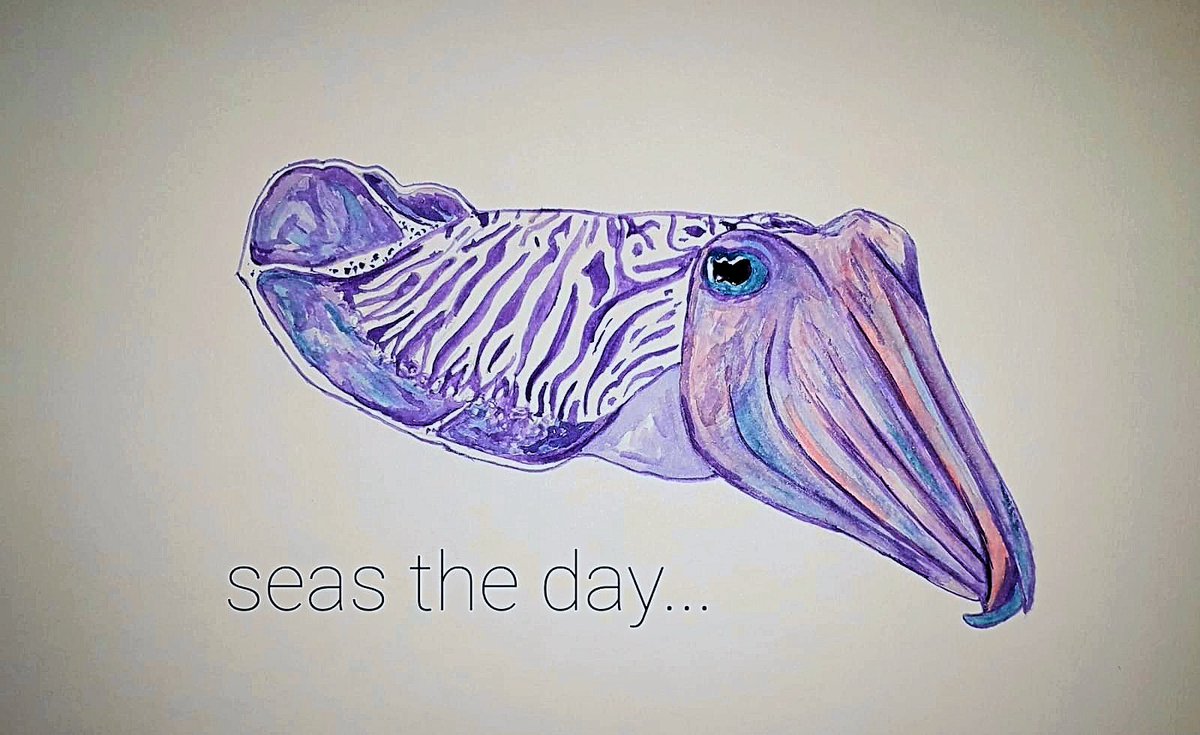 C_E_Mills1's tweet photo. It's the final strike day! Didn't want to end on a quick doodle, so did a cuttlefish painting (a friend for axolotl and @SolidarityShark maybe?) I rarely get the time to paint anymore, so this was a joy to do. @leicesterucu #LeicsUniStrike #UCUstrikeback #UCUstrike 

Carpe diem! https://t.co/UeCQdrRkGi