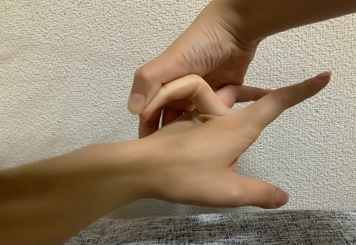 笹巻き千人将 בטוויטר 捻挫以外にも大量の体の不調がありまして病院行ってきたんだけど診断が 関節が柔らかすぎるから筋肉付けて でした 軟体生物の仲間達気をつけようね