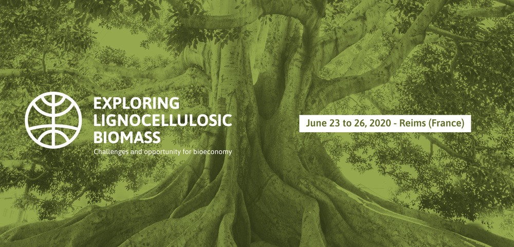 ExploreBiomass's tweet photo. 3rd edition of Exploring Ligncellulosic Biomass (ELB) meeting is coming 23-26 June 2020. 4 scientific sessions covering all aspects of #lignocellulose architecture, transformation and valorisation, with a special emphasis on interdisciplinary approaches ▶️https://t.co/5dIcGYCldU https://t.co/Rc4BkHhdSc