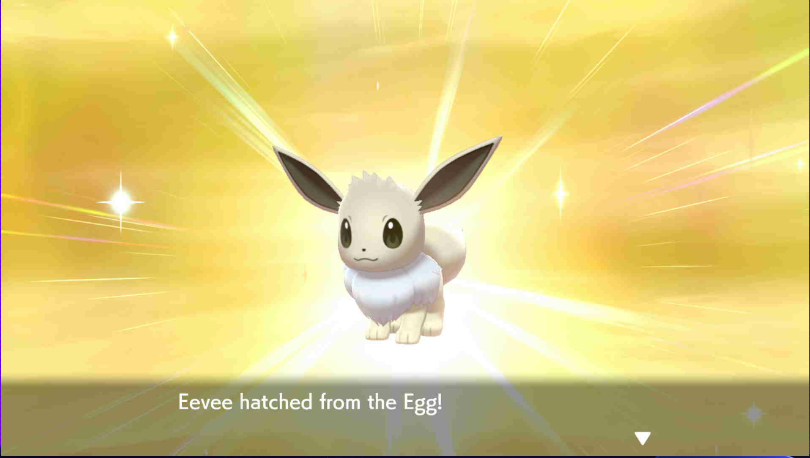 arudhel's tweet photo. SHINY EEVEE, after a 100 eggs with the masuda method. 

Germn ditto and a personal Eevee.

#pokemonswordandshield
#shinyhunting
#shiny
#eevee
#pokemonsword

I finally feel with a lot of luck. https://t.co/uGgDfKAmA6