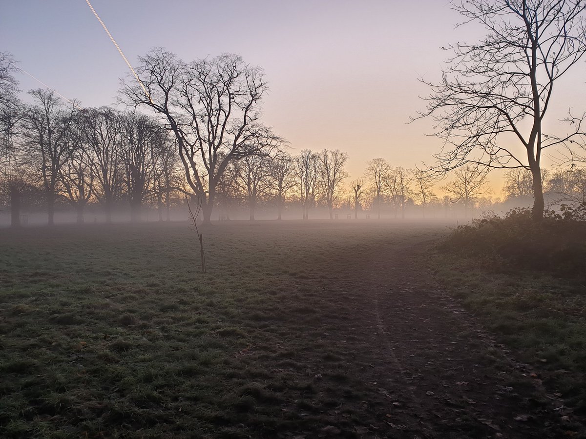 Out early this morning <a href="/nationaltrust/">National Trust</a> <a href="/MordenHallPkNT/">Morden Hall Park NT</a>  today as a child is ill so wont be #ranger ing today