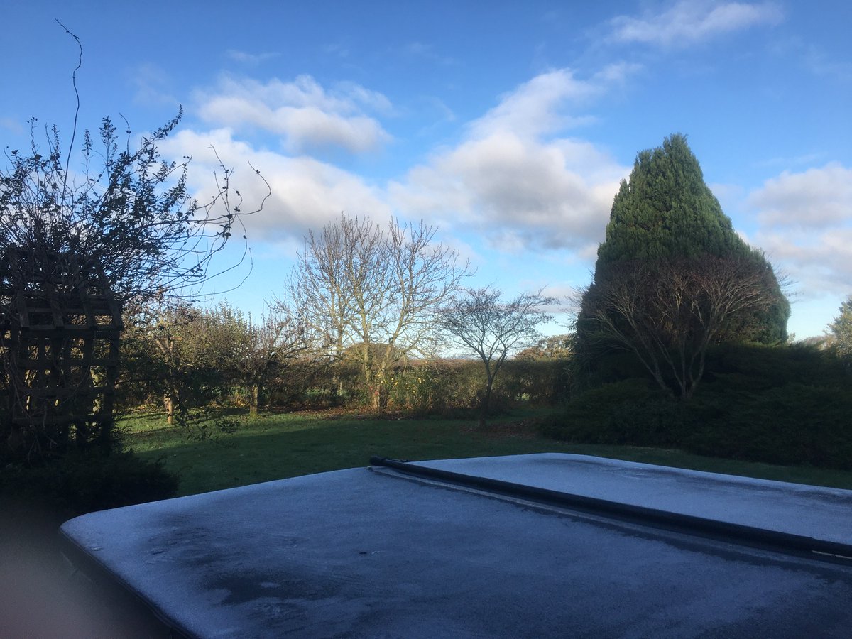 The Tranquil Otter tweet media