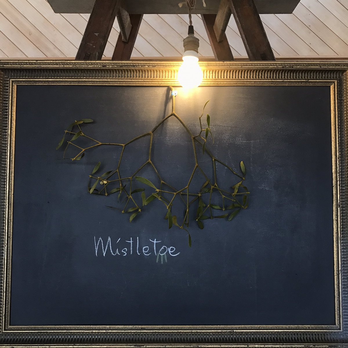 麻生圭子 Keiko Aso Sur Twitter イギリスで知ったヤドリギ クリスマス に飾ります ミスルトウ 本当はもっといっぱい飾るんだけど 日本ではなかなか手に入らないから 高い ほんのひと枝 ヤドリギの下にいる女の子とはキスしていいの 玄関ドア イギリス19