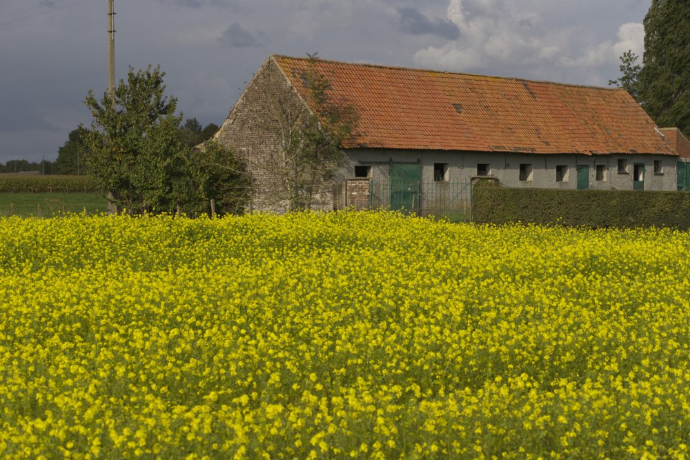 Een oude hoeve kopen en renoveren: iets voor jou?
#immo #immobilien logic-immo.be/nb8aa7