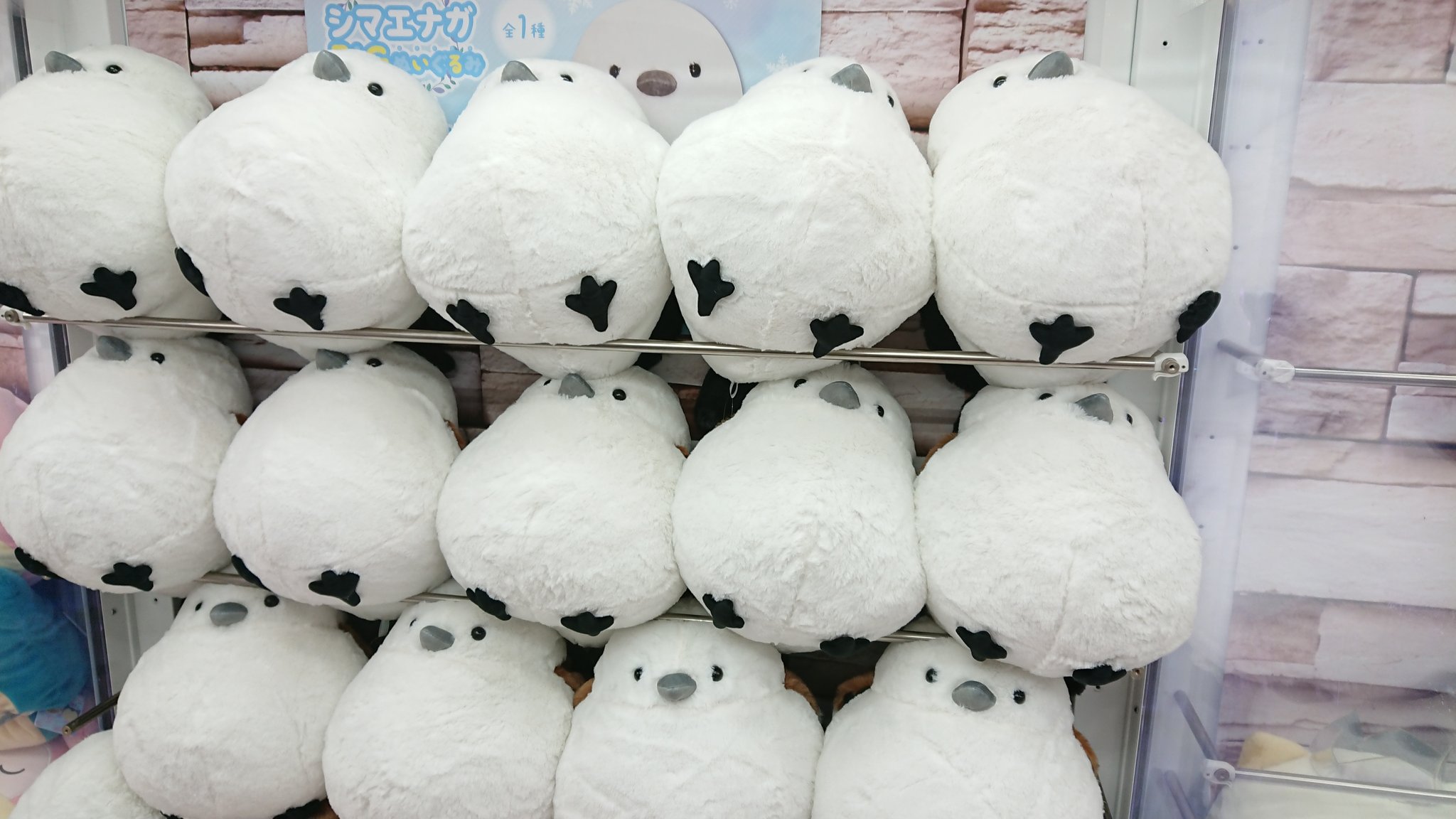 サイズ 農奴 講義 シマエナガ ぬいぐるみ ゲーセン Kentama Jp