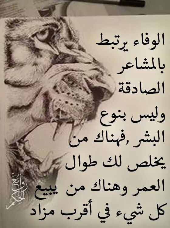 . (@samaa204) on Twitter photo 