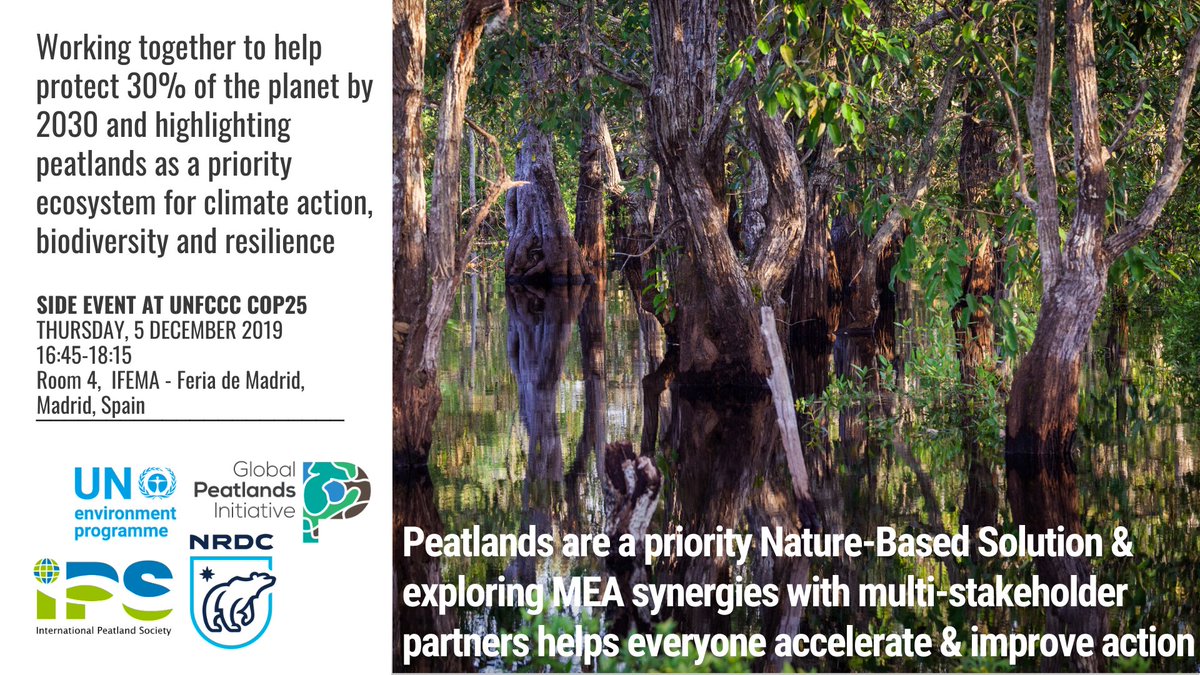 Join the #GlobalPeatlandsInitiative @UNEP @peatlandsociety & @NRDC for this exciting event on Thursday 5th December @UNFCCC #COP25 to hear why #PeatlandsMatter as priority #NatureBasedSolutions for #ClimateAction by exploring #MEA synergies.
@DiannaKopansky @GilbertLudwig