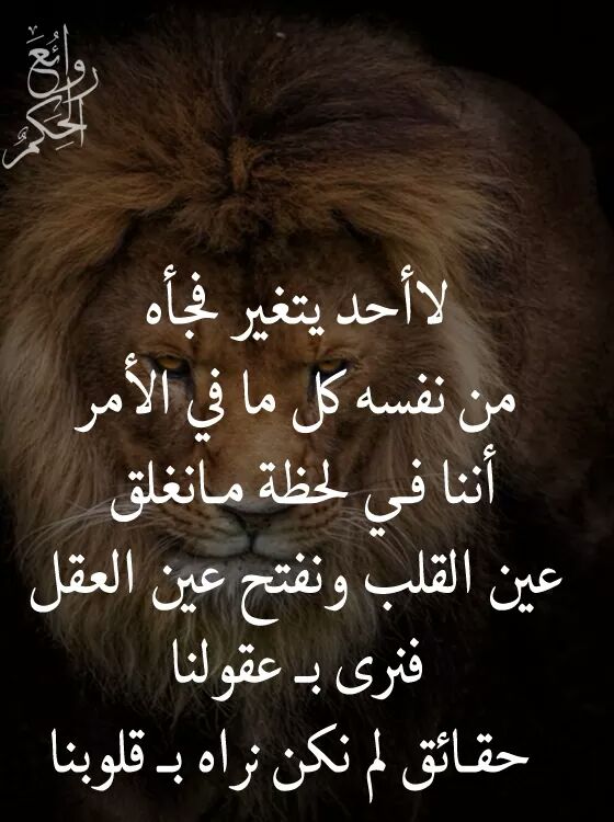 . (@samaa204) on Twitter photo 