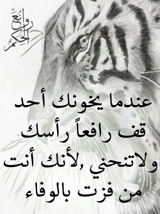 . (@samaa204) on Twitter photo 