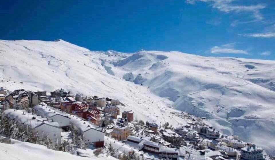 Arrow_Travel's tweet photo. Sierra Nevada Ski ⛷🇪🇸

Only £699 

🛫 29th December x 5 nights
💙 Return flights Belfast International to Malaga
💙 3* Don Juan Hotel, Granada
💙 Breakfast and evening meals
💙 4 day ski pack; lift pass, skis, sticks and boots
☎️ 02890 628536 Ski lessons are not included - £125p https://t.co/DyqgZVUYqK