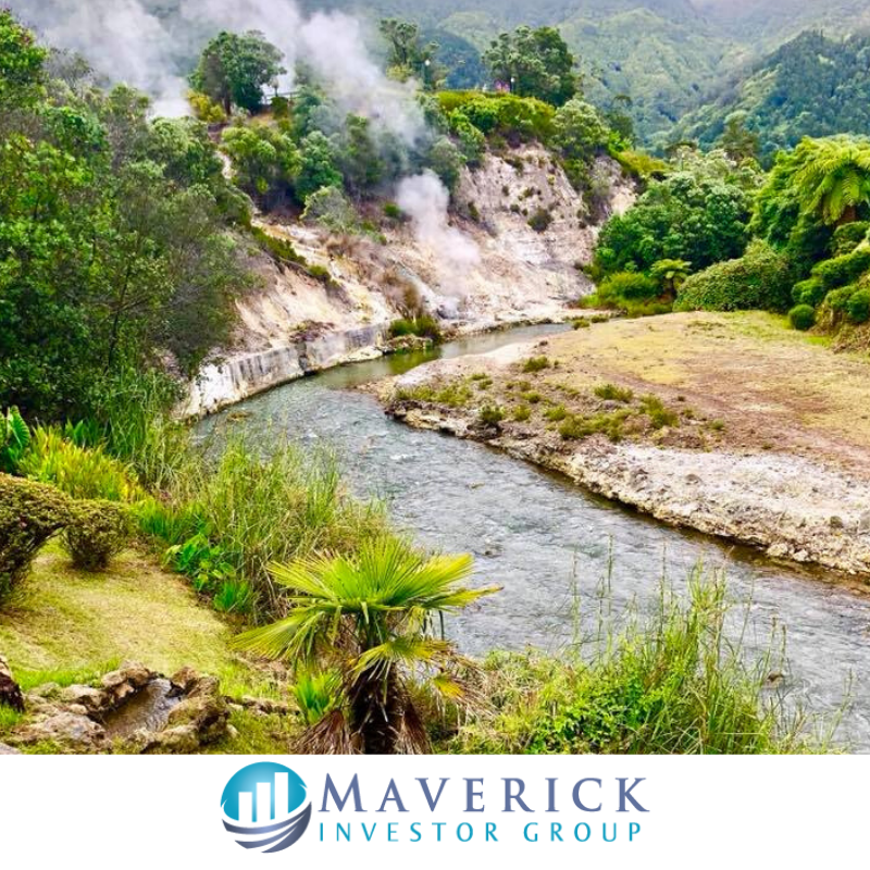 Maverick Investor Group tweet media