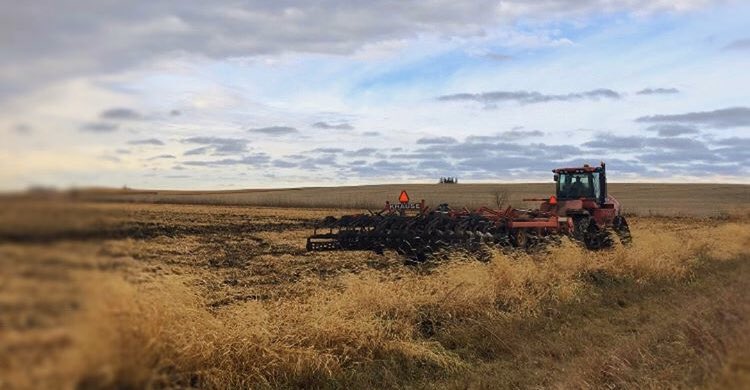 FarmsSoules's tweet photo. Harvesting to working the fields, these guys don't stop. Late nights and early mornings can get exhausting, but farming is 24/7.
.
.
.
#harvest2019 #harvesttime #harvest #krause #case #farmlife #farming #iowafarming #thegrinddontstop #cornharvest #chiselplow #workingthefields https://t.co/xmEqDh0jyy