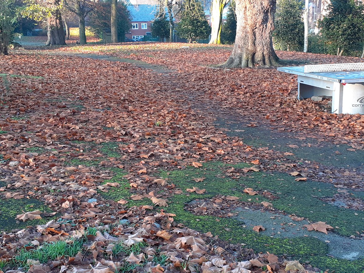 Leaf fall clearance today out on Radford recreation brilliant work by the team @chidiegenti