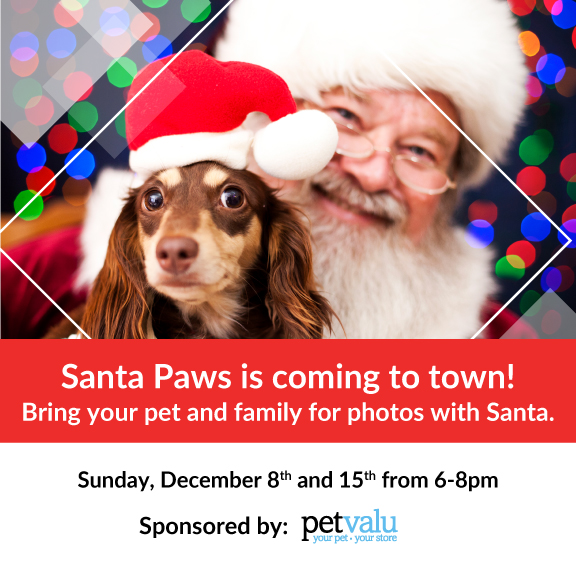Shop_SWB's tweet image. Bring your furry friend and take your photo with Santa at the Santa Village on the following dates: 
Sun, Dec 8th from 6-8pm
Sun, Dec 15th from 6-8pm
Complimentary cat and dog treats* sponsored by Pet Valu.
For full details visit shopswb.com
*While quantities last