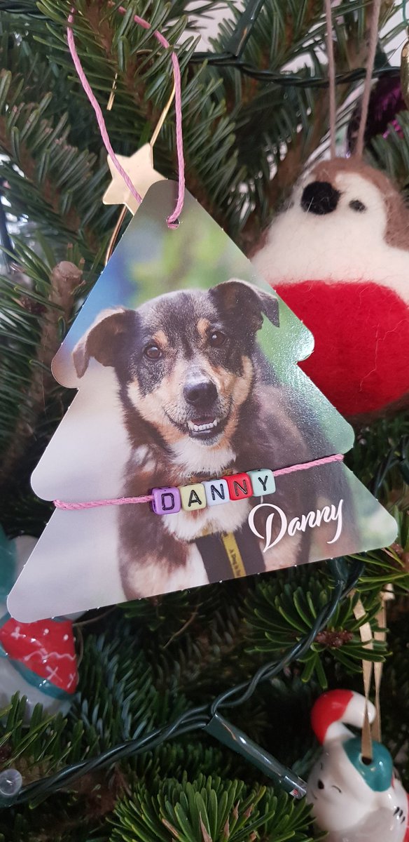 ClaireerialC18's tweet image. Thankyou very much to my beautiful sponsor dog, Danny, for this lovely Christmas card and tree decoration. You're the best! 🐾🐾 #ILoveMySponsorDog #Danny #4thDecember #dogstrust #adogisforlife @DogsTrust 🐾🎄❤