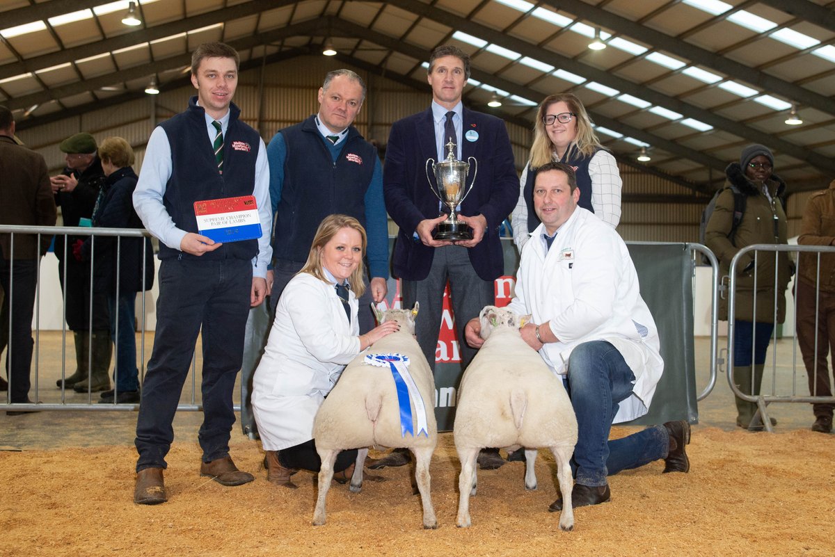 RESULTS ARE NOW AVAILABLE ONLINE! 🏆
If you missed any of the action on Friday or Saturday and want to see who walked away with a rosette or a trophy, click the link below for a full list of results! 
winterstockfestival.co.uk/results/