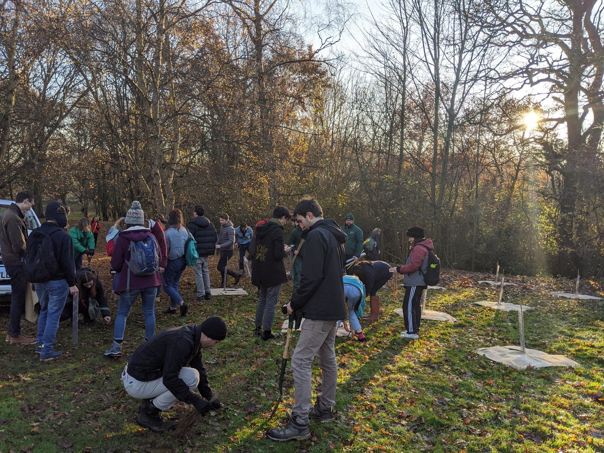 UniKentSustain's tweet photo. Thanks to some amazing volunteers, ECS soc and @UniKentGrounds we now have 50 new trees on campus as part of our #climatefightback https://t.co/Gkf5N6OwAt