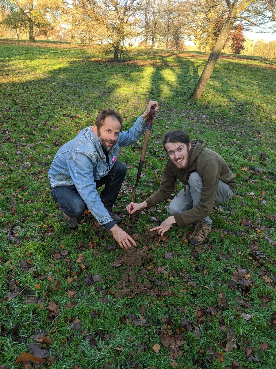 UniKentSustain's tweet photo. Thanks to some amazing volunteers, ECS soc and @UniKentGrounds we now have 50 new trees on campus as part of our #climatefightback https://t.co/Gkf5N6OwAt