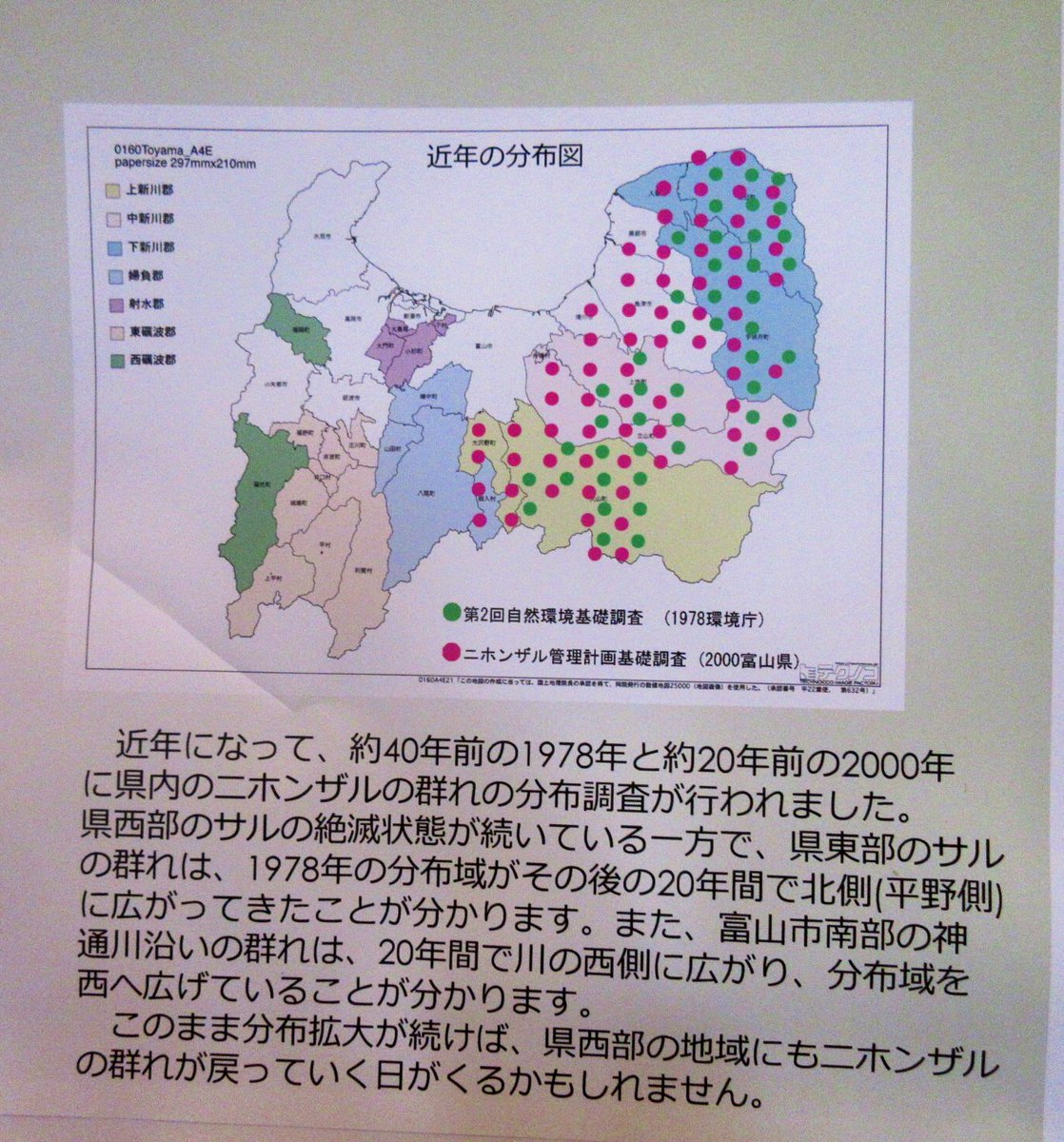 おらゑもん 猿zine制作中 リンク先の論文は竪穴に落ちて化石化した古代のニホンザル についての記述ですが 現在黒部峡谷に生きる野生ニホンザルも厳冬期に洞窟を利用しているらしいことが富山大の研究で明らかにされています とても興味深い生態です