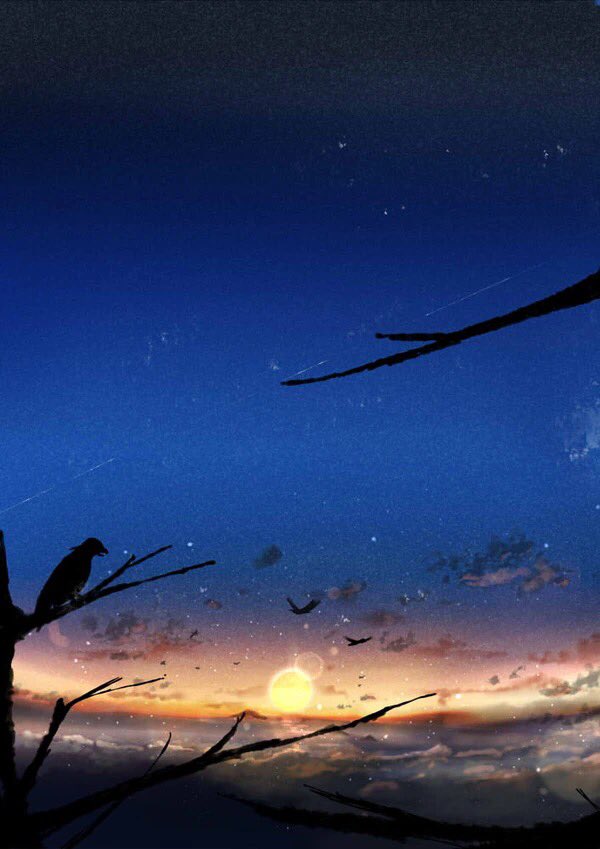 「紺×橙色の夕焼けまとめです✨? 」|桜田千尋🌖2月17日よりプラネタリウムコラボのイラスト
